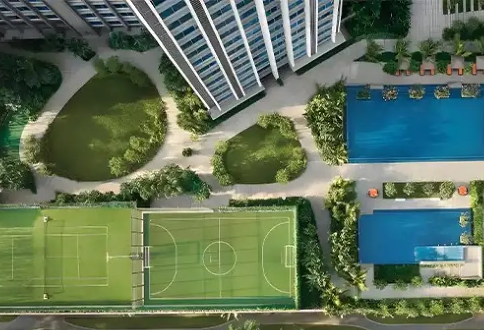 birdview